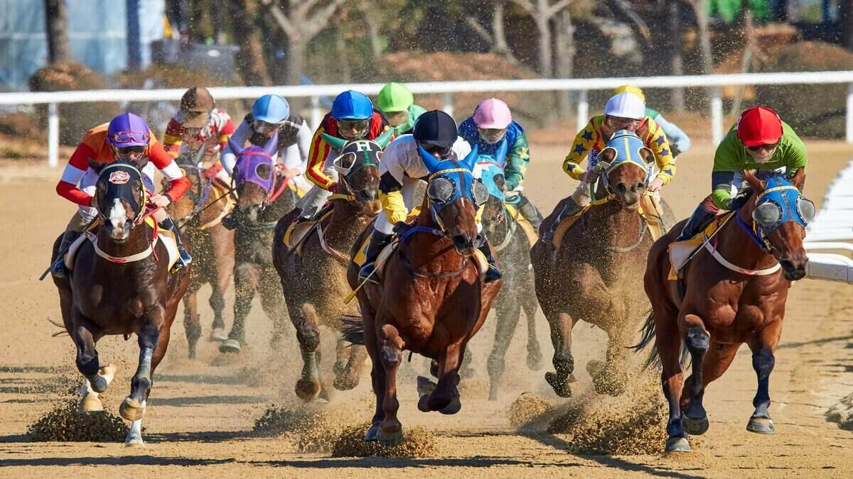 How much do Australians lose on gambling?